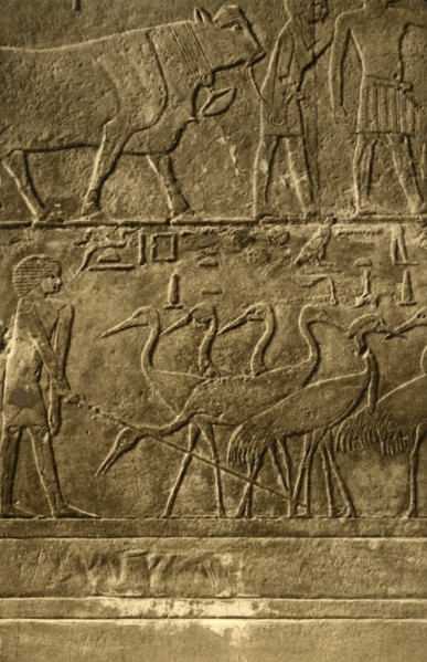 'Saqqara - Tomb of Ti Mural Paintings', c1918-c1939. Creator: Unknown.