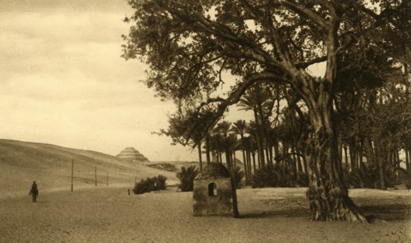 'Saqqara - The Step Pyramid seen from the Sycomore', c1918-c1939. Creator: Unknown.