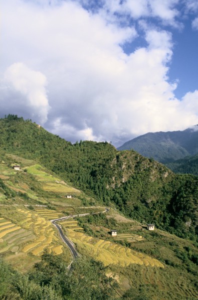 Road from Puntsholing to Paro, Bhutan.