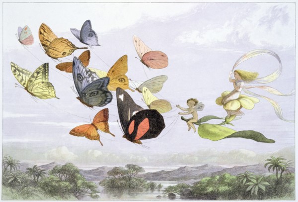 'The Fairy Queen's Carriage', c1870. Artist: Richard Doyle