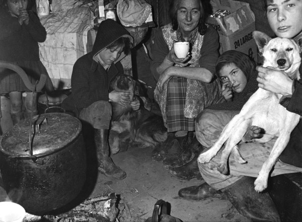 Roadside gipsy family inside a 'bender' (wigwam construction), Newdigate, Surrey, 1960s(?).