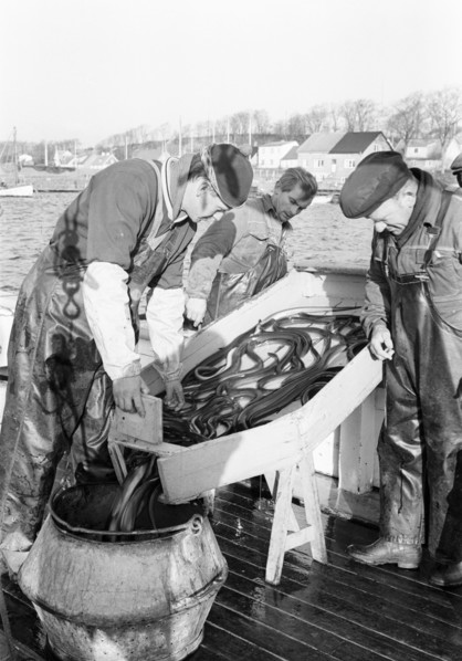 Fishermen and their catch of eel, Sweden, 1966. Artist: Unknown