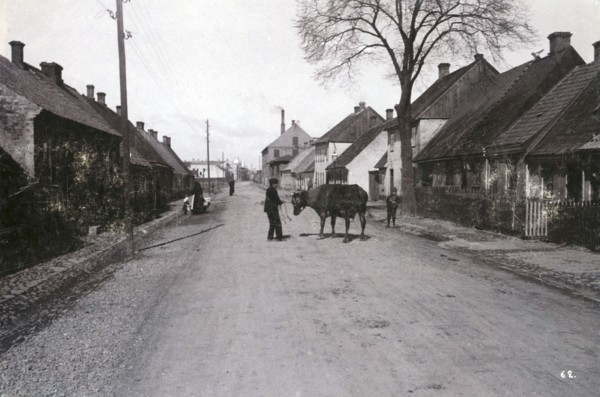 A farmer with a cow on a street, Landskrona, Sweden, 1900.  Artist: Borg Mesch