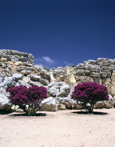 A megalithic temple complex, Ggantija, Gozo, Malta, 20th century.