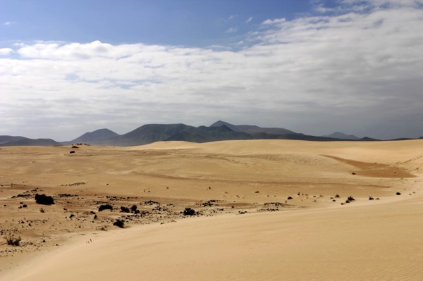 Sand Dunes, Corralejo, Fuerteventura, Canary Islands.