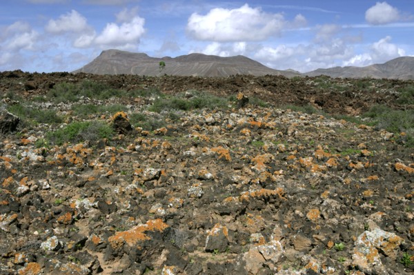 Volcanic landscape, Malpais Grande, Fuerteventura, Canary Islands.