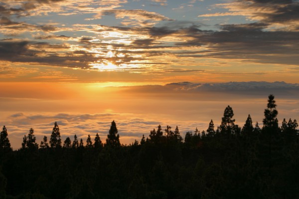 Parque Nacional del Teide, Tenerife, Canary Islands, 2007.