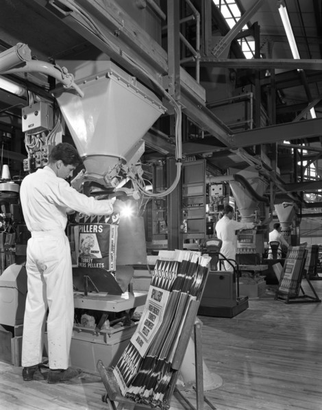 Bags being filled at the Spillers Animal Foods plant, Gainsborough, Lincolnshire, 1962. Artist: Michael Walters