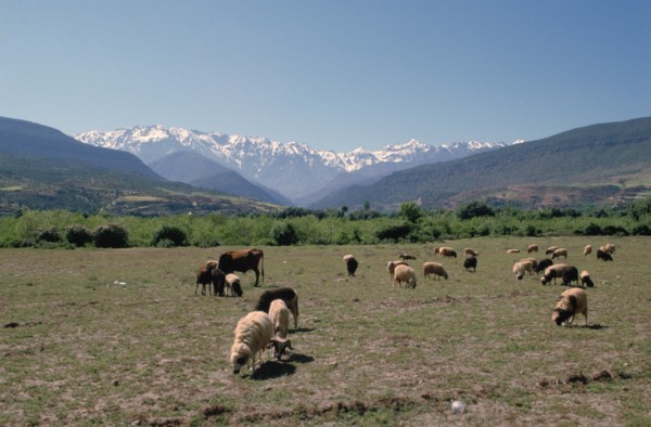 High Atlas, Morocco.