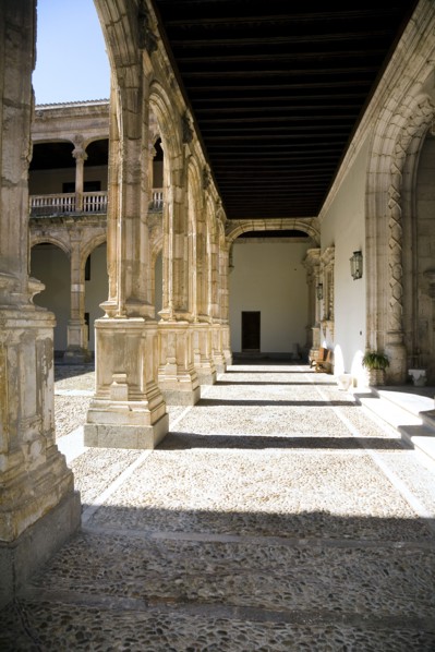 Avellaneda Palace, Penaranda de Duero, Spain, 2007. Artist: Samuel Magal