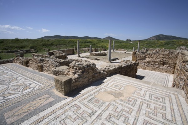 The House of Neptune, Thuburbo Majus, Tunisia. Artist: Samuel Magal