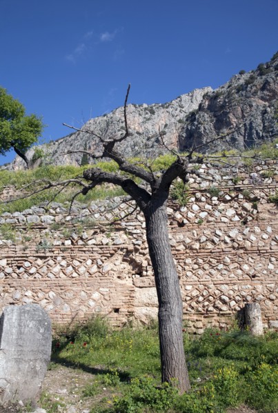 The walls of Delphi, Greece. Artist: Samuel Magal