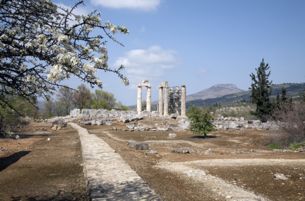 The Temple of Zeus at Nemea, Greece. Artist: Samuel Magal