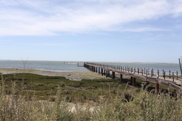 Olhao Bird Reserve, Olhao, Portugal, 2009. Artist: Samuel Magal