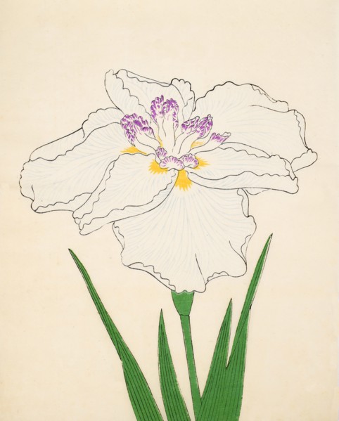 Cho-Hiyen, No. 91, 1890, (colour woodblock print)