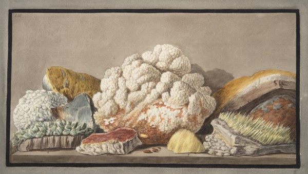 Productions of the Solfaterra, 1776.