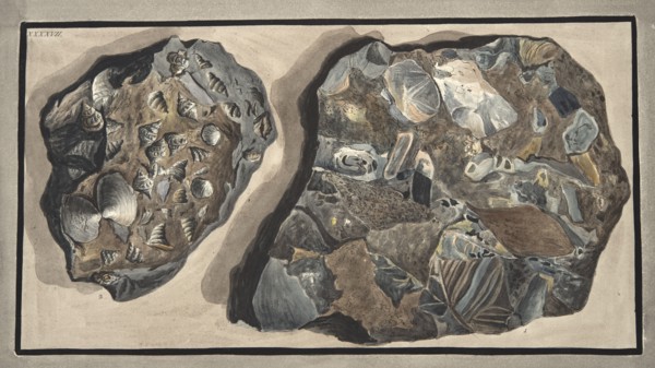 Piece of marble composed of fragments of various sorts of marble found in the Fossa Grande, 1776.