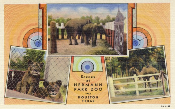 'Scenes at Hermann Park Zoo, Houston, Texas', USA, postcard, 1932. Artist: Unknown