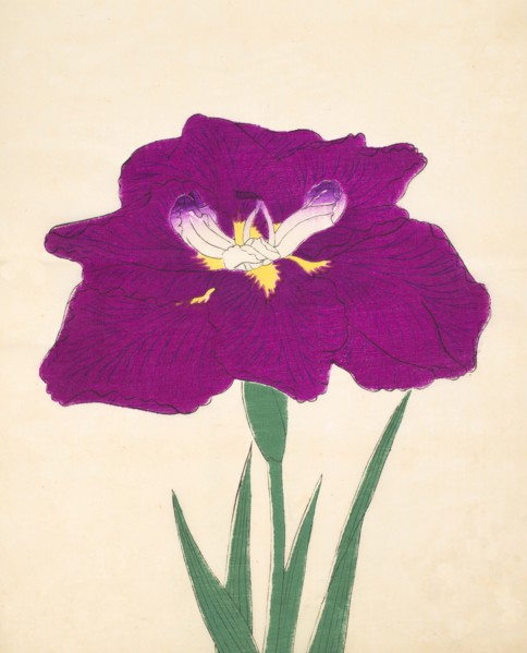 Hizume-No-Hyoshi, No. 29, 1890, (colour woodblock print)