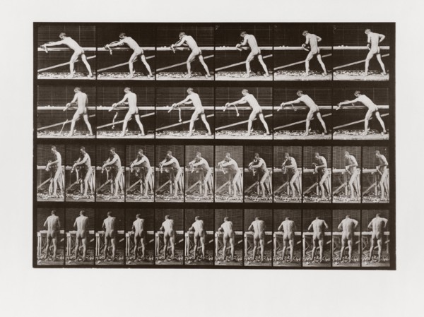 Man planing wood, Plate 379 from Animal Locomotion, 1887 (photograph)