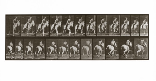 Galloping Horse with Rider, Plate 635 from Animal Locomotion, 1887 (photograph)