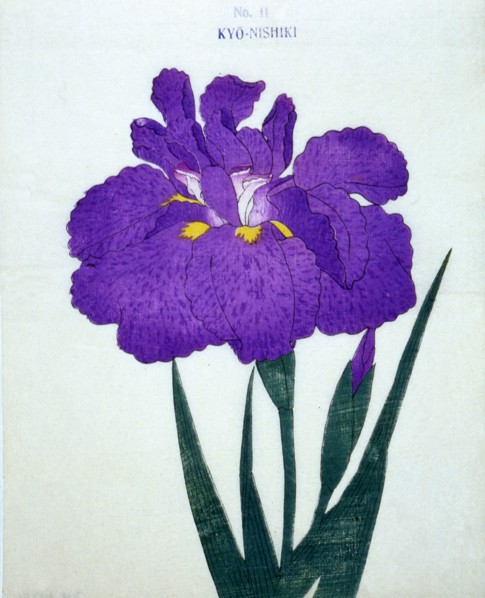 Nyo-Nishiki, No 11.