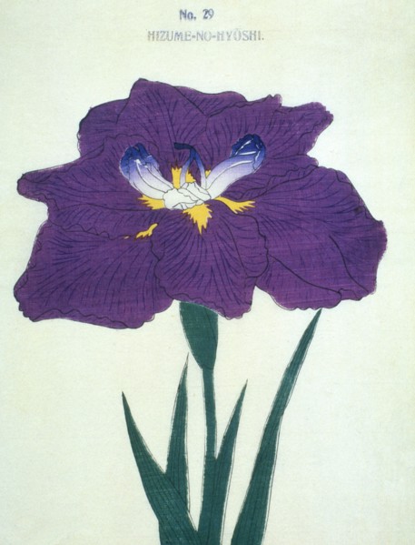 Hizume-No-Hyoshi, No 29.
