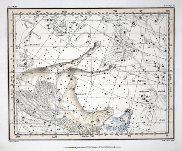 The Constellations (Plate XII) Pegasus, and Equuleus, 1822.