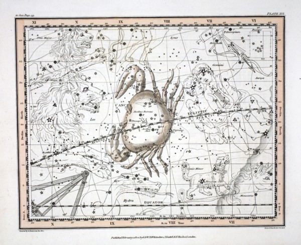 The Constellations (Plate XVI) Cancer, 1822.