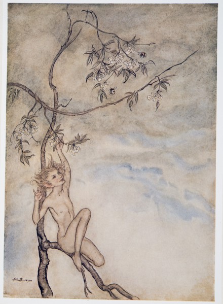 Merrily, merrily shall I live now under the blossom that hangs on the bough, illustration from 'The