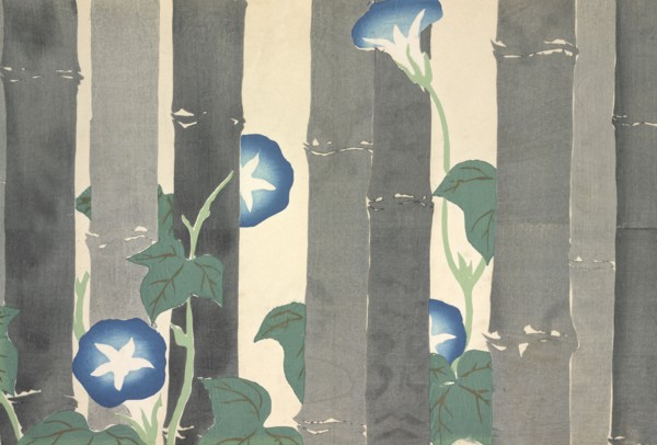 Asagao, from Momoyo-gusa (The World of Things) Vol I, pub.1909 (colour block woodcut)
