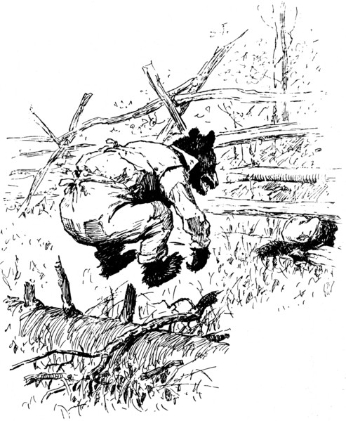 Illustration from the book The Complete Tales of Uncle Remus, by Joel Chandler Harris, 1895.  Artist: AB Frost