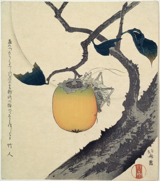 'Moon, Persimmon and Grasshopper', 1807.  Artist: Hokusai