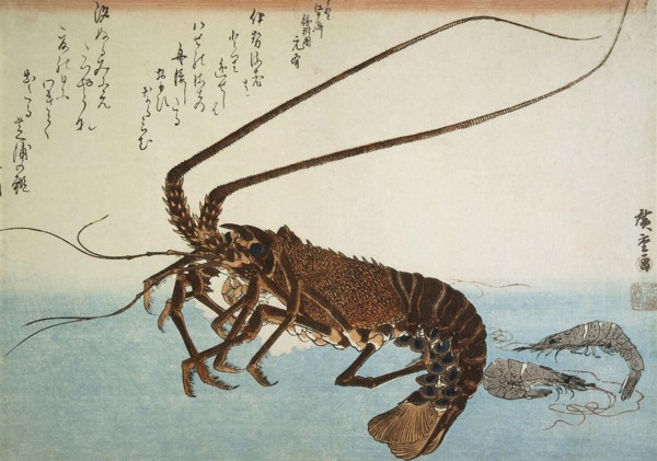 Lobster and Shrimps, 1832-1834.  Creator: Hiroshige, Utagawa (1797-1858).