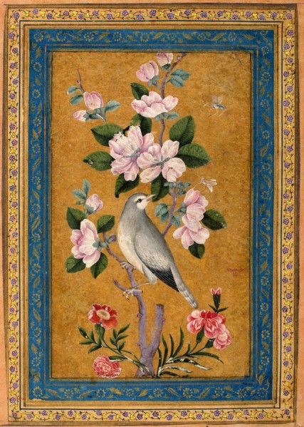 Bird Perching on a Blossoming Branch, 1696.  Creator: Yusuf Zaman (17th century).