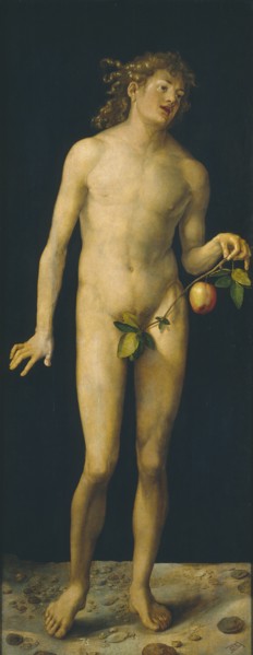 Adam, 1507. Artist: Dürer, Albrecht (1471-1528)