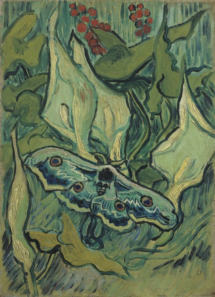 Green Peacock Moth (The Emperor Moth), 1889. Artist: Gogh, Vincent, van (1853-1890)