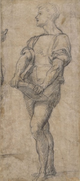 Standing youth holding a book, ca 1515. Artist: Andrea del Sarto (1486-1531)