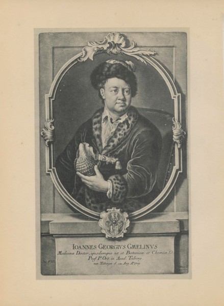 Portrait of the naturalist, botanist and geographer Johann Georg Gmelin (1709-1755), Mid of the 18th cen.. Artist: Haid (Hayd), Johann Jacob (1704-1767)