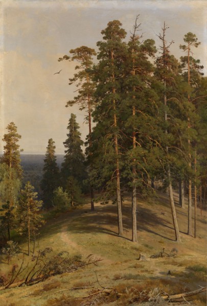 The Pine Forest, 1895. Artist: Shishkin, Ivan Ivanovich (1832-1898)