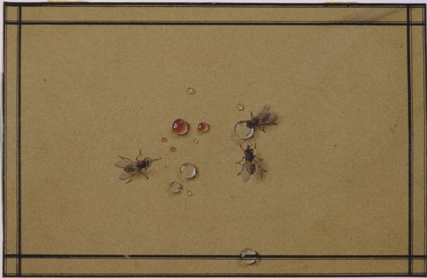 The flies at the waterdrops. Artist: Tolstoy, Fyodor Petrovich (1783-1873)