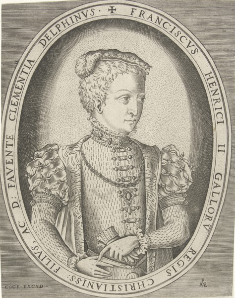 Portrait of Francis II of France (1544-1560). Artist: Heyden, Pieter, van der (1538-1572)