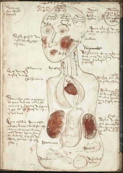 Representation of an Aristotelian Theory of Consciousness (From: De corpore et anima). Artist: Anonymous
