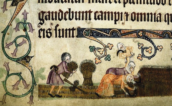 Reaping and binding sheaves (From the Luttrell Psalter), ca 1330. Artist: Anonymous