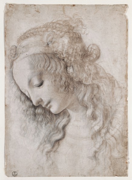 Study Of Female Face.