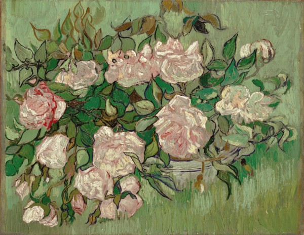 Pink Roses.