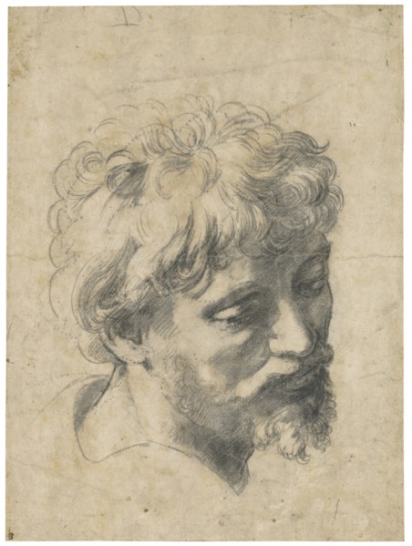 Head of a Young Apostle.