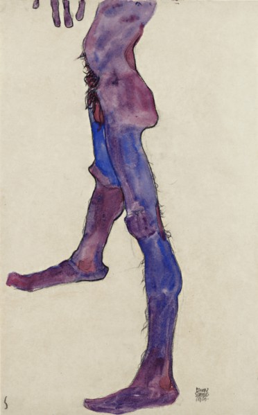 Male Lower Torso.