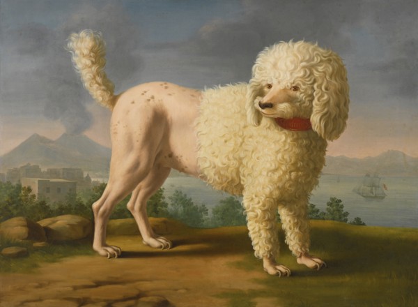 Portrait of Codina, believed to be lady Hamilton's poodle, the bay of Naples with a British man-of-w