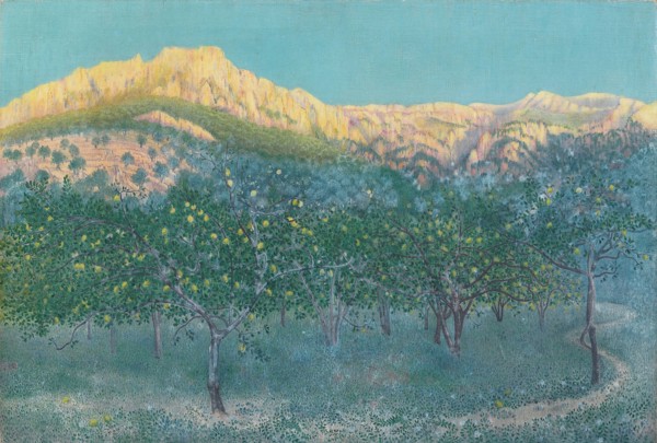 Lemon trees, Mallorca.